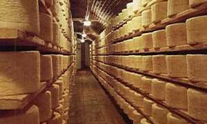 gorgonzola celle