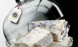 gorgonzola dop