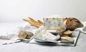 gorgonzola pane