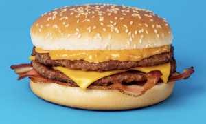 hamburger