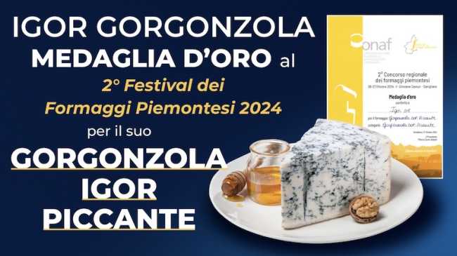 igor gorgonz oro festival form