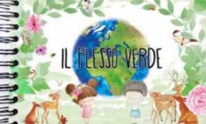 il plesso verde