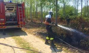 incendio sterpaglie vigili novara 3