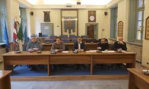 incontro cinghiali