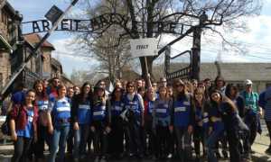 ipsia bellini auschwitz