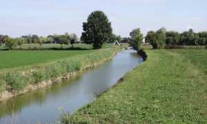 irrigare campagna