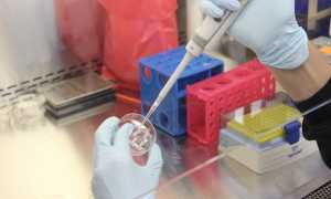 laboratorio