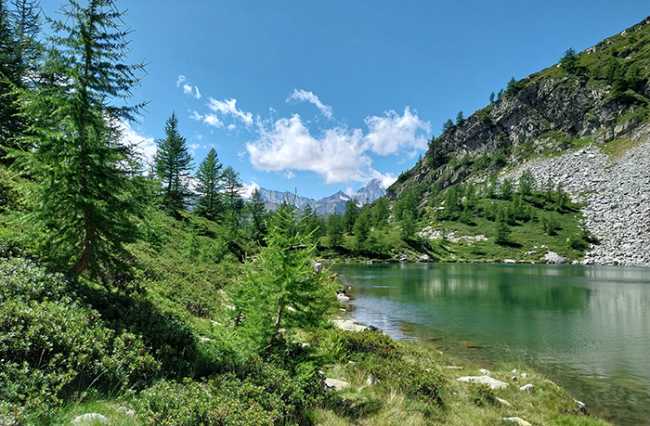 lago agro fabbri