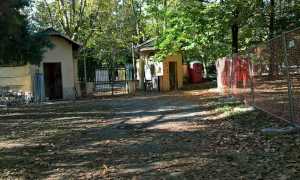 lavori parco allea 04