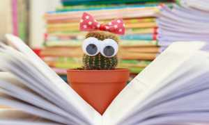 libri bimbi