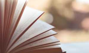 libro aperto