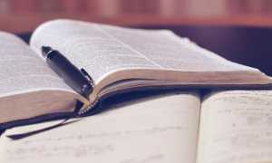 libro biblioteca