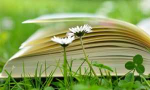 libro prato marrgherite