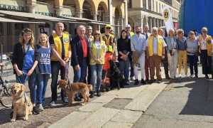 lions cani non vedenti