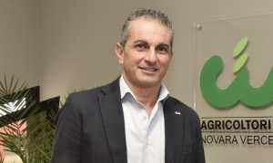 manrico brustia