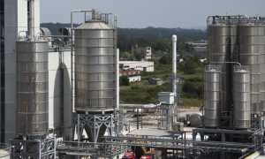 mater Biopolymer