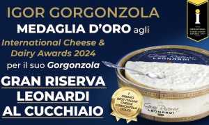 medaglia oro igor gorgonzola inghilt