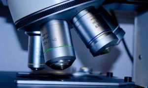microscopio foto