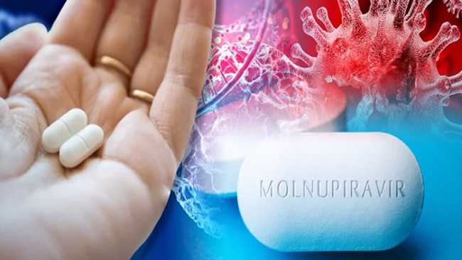 molnupiravir pillola covid