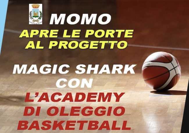 momo basket