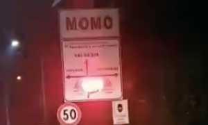 momo segnalatore