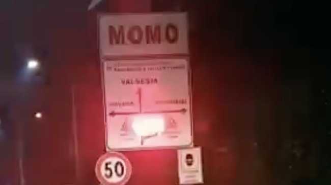 momo segnalatore