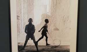 mostra branzi