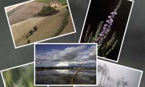 mostra faraggiana