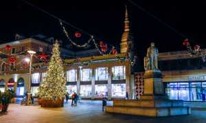 natale novara 2