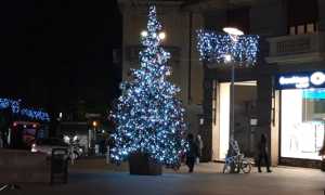 natale novara