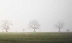 nebbia