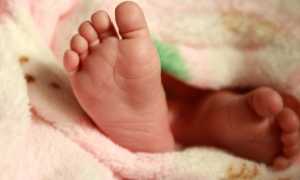 neonato