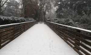 neve novara 1