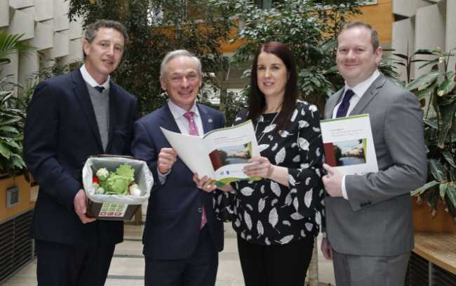 novamont irlanda