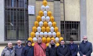 novara albero anmil