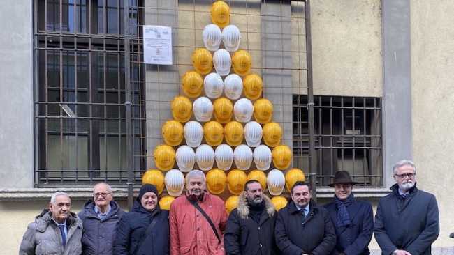 novara albero anmil
