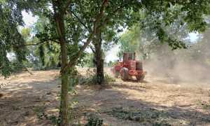 novara bonifica ambrosia via p generali