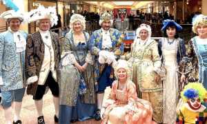 novara carnevale centro comm