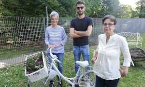 novara green 