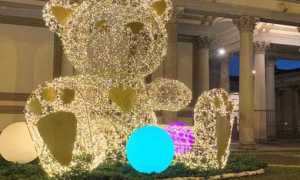 novara orso natale