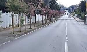 oleggio via novara