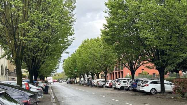 oleggio viale paganini