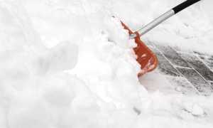 pala neve