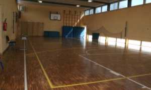 palestra generica