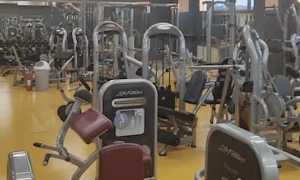palestra