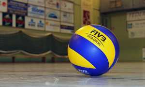 palla volley