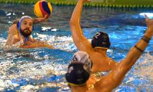 pallanuoto foto