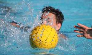 pallanuoto foto