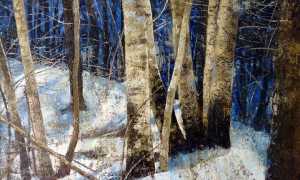 paolo chiodoni mostra