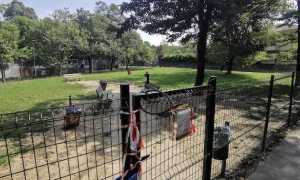 parco1